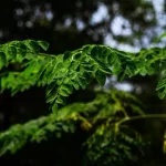Gettyimages 2272071372.jpg