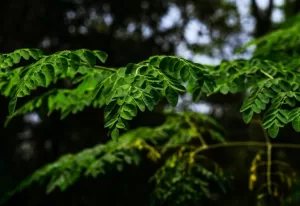 Gettyimages 2272071372.jpg