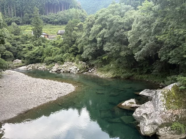 緑に囲まれた川の風景